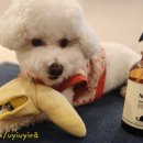 백색공방 이미지