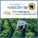 구례지하수개발 네이버블로그