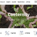 쌍용환경 티스토리