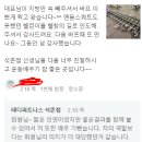 테디피트니스 이미지