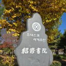 우리나라 최초의 사액서원, 소수서원(紹修書院)의 500년 은행나무 황금빛 황홀경! 이미지