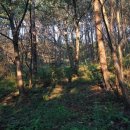 노성산약수터 이미지