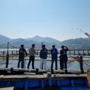 수산물마트