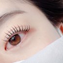 스튜디오라인빈