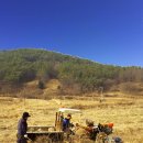 상왕농장 이미지