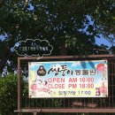 | 강릉 | 데이트 코스 추천 ! 귀여운 동물들과 힐링한 쌍둥이 동물농장
