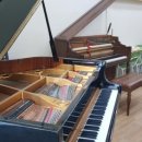 가온피아노음악학원 이미지