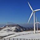 맑은축산 이미지