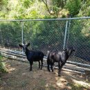 염돌이농장 이미지