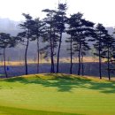 대호단양CC(대중제) 이미지