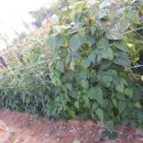 추대농장 이미지