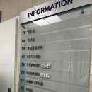 뽑자고 | 흔들리는 치아 뽑지 않고 살리기 엠도게인, 잇몸 수술 생생 후기 / 동래치과추천