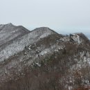 목란제 이미지