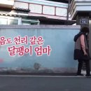 NBS[한국농업방송] 기적의 운동화 몰아보기 이미지