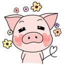 쉬라네일 네이버블로그