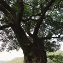 광의-2 이미지