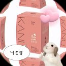 원상 복귀