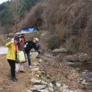 박영애농장 이미지