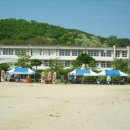 봉산 이팝나무길 이미지