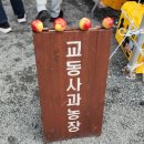 2024 한탄강 지오 뮤직&피크닉 페스티벌 | 경기도 포천 나들이 2024 포천 한탄강 가든페스타/ 지오 뮤직 피크닉 페스티벌 시원하게 걷기