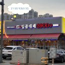 3900 | 경기 양평 애견동반 식당 일품대패 3900냥 솔직후기