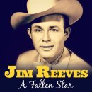 A Fallen Star - Jim Reeves 이미지