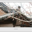 단성면 사양정사