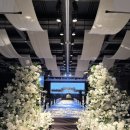 대청호텔 | 부산 농심호텔 웨딩 대청홀 투어 너무 솔직한 후기 + 27년 하반기 대관비, 식대, 견적 공유 !