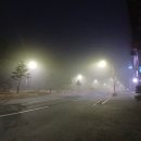 어깨사랑마취통증의학과의원 이미지