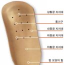 굿피트 이미지
