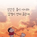 인간은 몸이 아니라 감정이 먼저 늙는다 ​ 이미지
