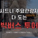 피넛(P:NUT)
