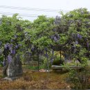 진동 마을회관 이미지