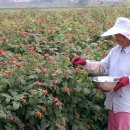 노지하우스 이미지