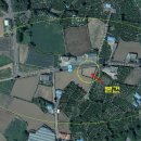 동일리-10 이미지