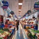 삼천포 용궁수산시장 방문기! 신선한 회포장 어디서 사야할까?