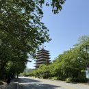 한국대중음악박물관 | 경주여행코스 부모님과 가볼만한곳 [한국대중음악박물관, 황룡원]