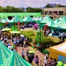 씨제이올리브영(주) 이미지