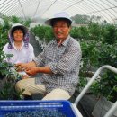 복덕농장 이미지