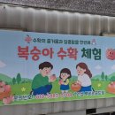골드팜 - 안양시 동안구 경수대로 546 | [경기안성/루비&골드팜] 주말 아이와 함께 신비복숭아 수확 체험, 여름날의 달콤한 내돈내산 방문 후기