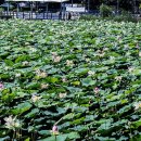 봉담호수공원 이미지