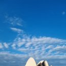 오페라보러화요:나비부인 | 시드니 오페라하우스 ㅡ 나비부인