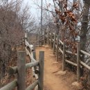 대부해솔길 5코스 이미지