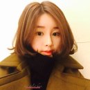 하리헤어 이미지