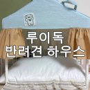 루이독 | 반려견 하우스 강아지 집 루이독 그랑사이즈 후기