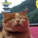 상귀농장 이미지
