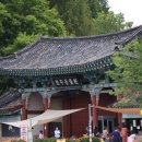 2021.8.3 전주동물원 방문기- 첫방문! 설렘 가득한 전주
