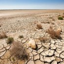 6월17일은 세계 사막화와 가뭄방지의 날 이미지