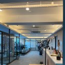 원 핏 아라 이미지