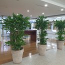 황금탑공인중개사사무소 이미지